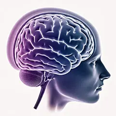 How does stress affect rest? Keyword: neuroscience of anxiety